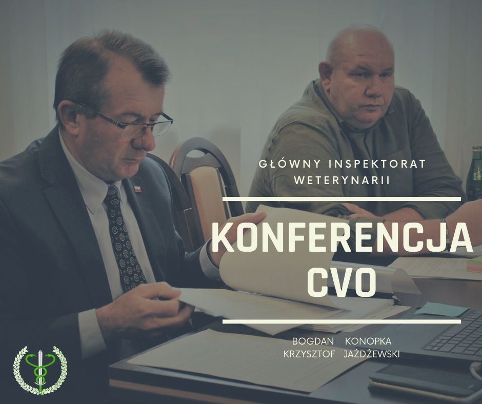 Bogdan Konopka na dwudniowej wideokonferencji CVO 